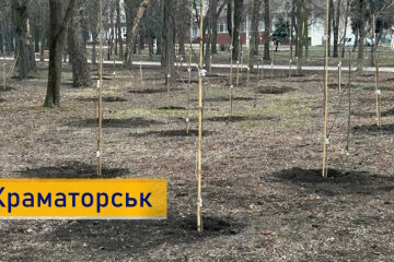 У Краматорську в парку висаджують дерева: на саджанці гроші з бюджету не витрачали