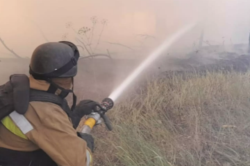 Через ворожі обстріли на Донеччині сталися три лісові пожежі (фото)