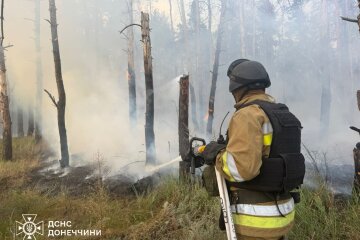 На Донеччині внаслідок обстрілів горіли шість гектарів лісу (фото)