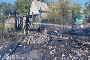 На Донеччині рятувальники двічі призупиняли гасити пожежі через повторні атаки окупантів (фото)