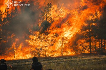 На Донеччині через ворожі обстріли горить понад 1100 гектарів лісу (фото)