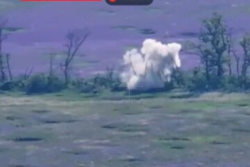 Прикордонники на Донеччині знищили пункт управління БпЛА ворога (відео)
