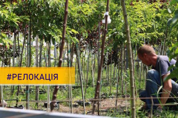 «Еко-Країна»: бізнес із Донеччини релокували на Київщину та розвивають нові проєкти