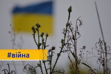 Сили оборони відкинули окупантів із села Богатир