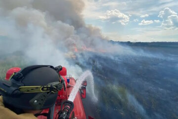 Окупанти знищили на Донеччині чотири гектари врожаю (фото)