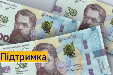 «Зимову єПідтримку» та «Національний кешбек» українці в основному витратили на комуналку