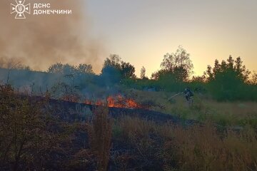 Рятувальники на Донеччині загасили пожежі: вигоріло вісім гектарів сухої трави (фото)