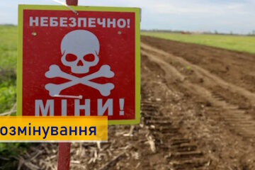 В Україні розмінували понад 5 тисяч км² землі