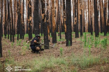 На Донеччині піротехніки ДСНС знешкодили 115 вибухонебезпечних предметів за добу