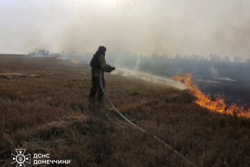 Горіли ліси, очерет та сухостій: на Донеччині за добу погасили пожежі на понад 190 гектарах (фото)