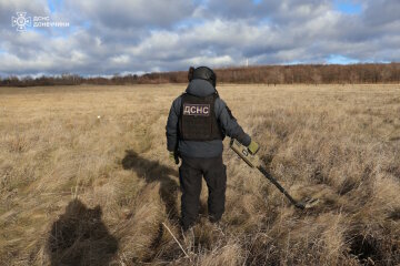 Особливості роботи демінерів ДСНС та міжнародних організацій на Донеччині