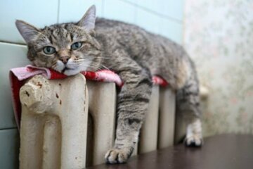У зношеному стані: у Дружківці планують замінити обладнання у котельні, яка опалює 275 квартир