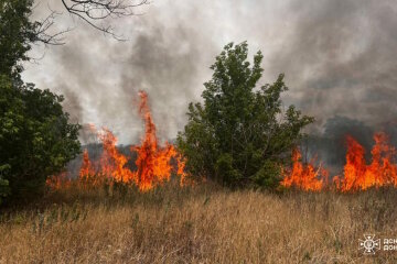 «На Донеччині за вихідні згоріло понад 25 гектарів сухої рослинності: рятувальники ліквідували 8 пожеж