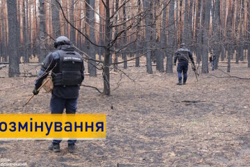 Піротехніки ДСНС продовжують розмінування Донеччини: результати за тиждень