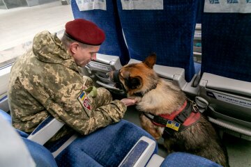Укрзалізниця оновила правила перевезення тварин у поїздах: що змінилося