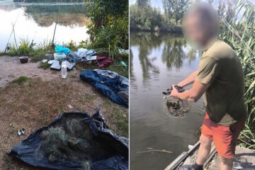 На Донеччині незаконно виловили риби та раків на понад 517 тисяч гривень