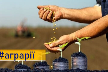 Мінагрополітики та ЄС впроваджують інноваційні групи для розвитку малих агровиробників