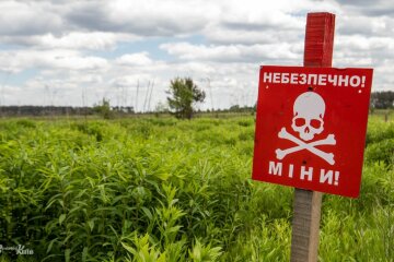 Сапери розмінували майже 6 тисяч гектарів деокупованих територій у серпні