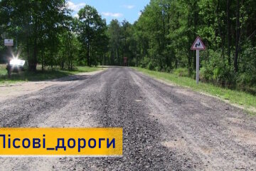 В Україні планують побудувати понад 100 ділянок лісових доріг до кінця року