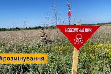 Фермери можуть отримати компенсацію за розмінування земель, прийом заявок вже стартував