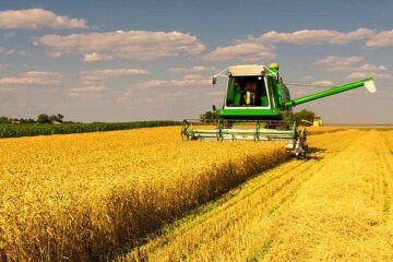 Збитки на понад вісім мільйонів гривень понесли аграрії на Донеччині через ворожі обстріли