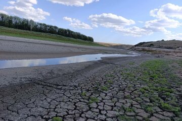 У Маріуполі обміліло Старокримське водосховище (фото)
