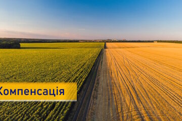 3 млрд грн виділили в уряді на Гуманітарне розмінування