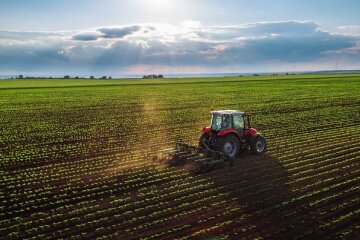 Агробізнес в Україні: попри війну — розвиток і релокація