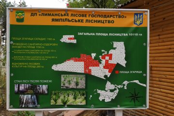 «Лиманське лісове господарство» припинило своє існування