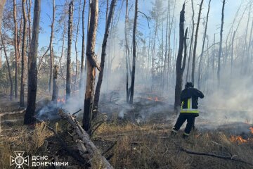 На Донеччині горіли п’ять громад: рятувальники загасили 13 пожеж (фото)