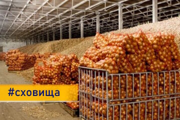 Україна розбудовує мережу овочесховищ: 35% врожаю втрачається через відсутність належних умов зберігання