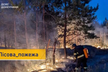 Рятувальники Донеччини другу добу гасять лісову пожежу в Лимані