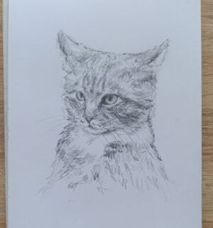 Дуже милий котик