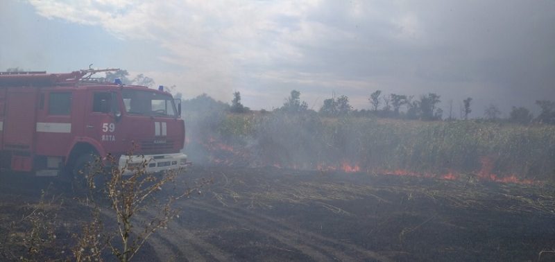 На Донеччині та Луганщині з початку року сталося 1100 пожеж в екосистемах