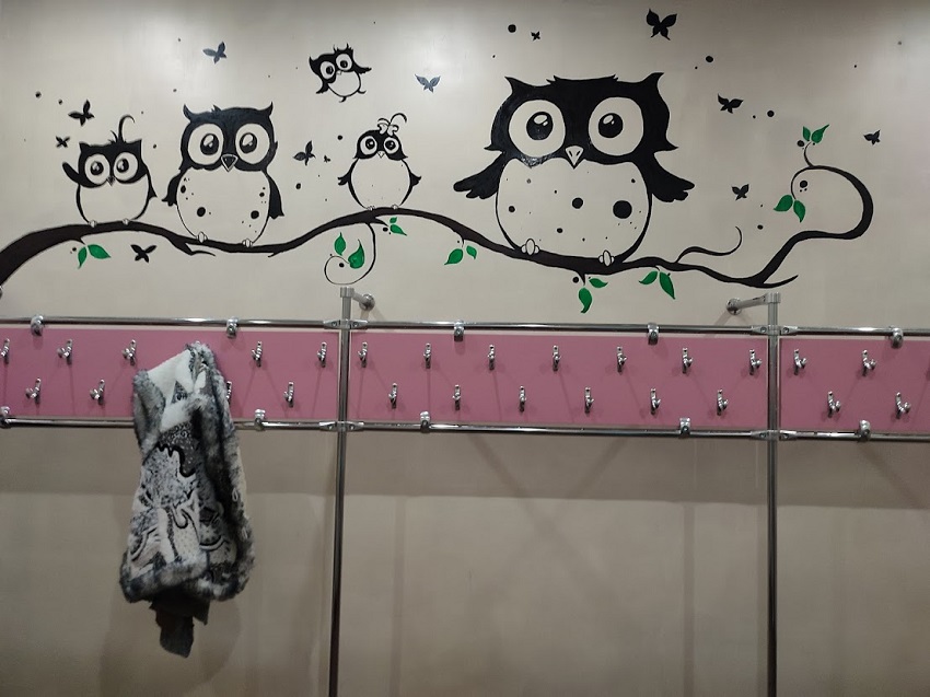 Над конструкцією з металевими гачками для одягу на стіні намальовані сови, що сидять на гілці.