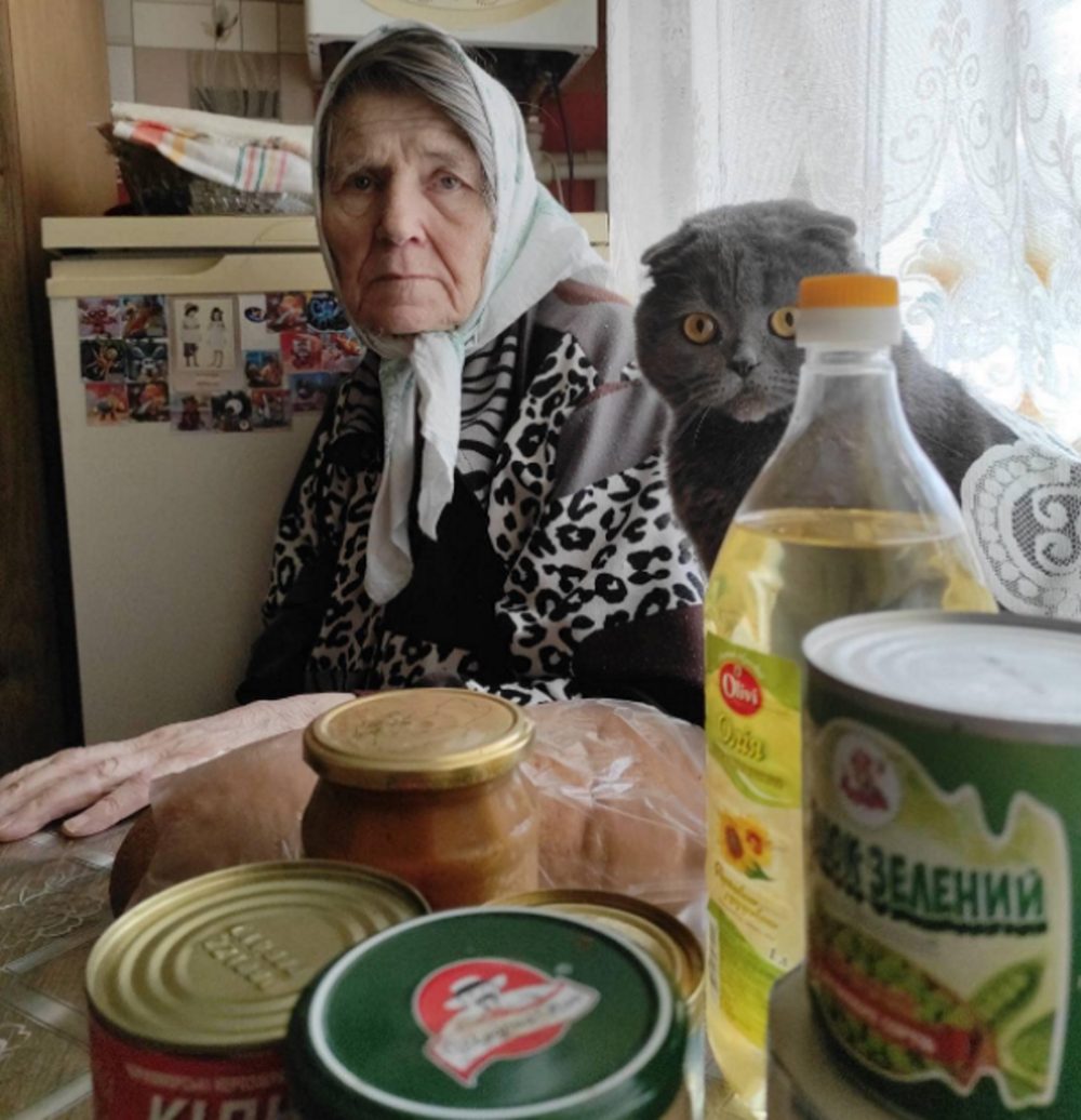 старенька бабуся сидить за столом, поруч кіт