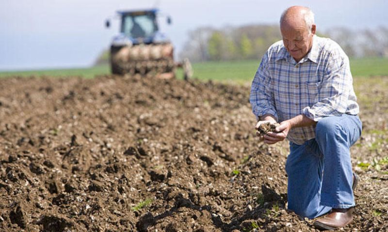 В Україні запустили Державний аграрний реєстр для підтримки фермерів