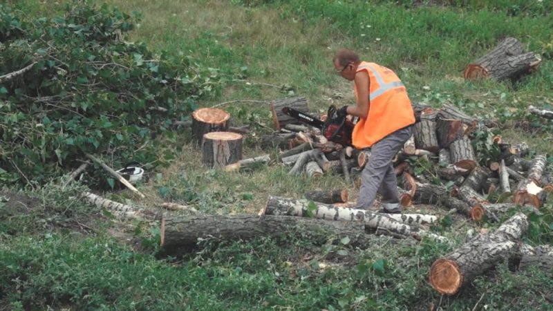 Покровська громада готує дрова на зиму