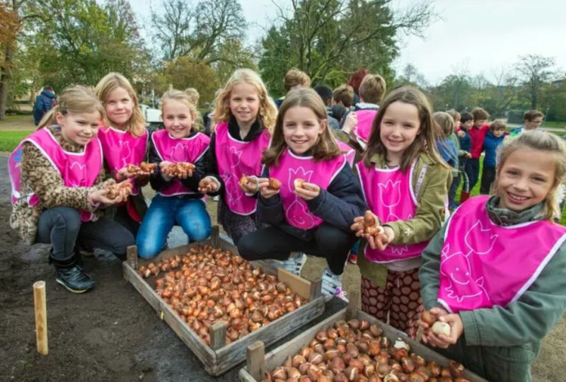 Для покращення настрою дітей: як школам отримати квіткову допомогу від Нідерландів
