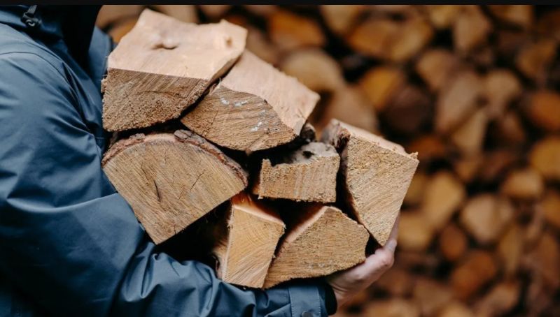 Безоплатні дрова отримали понад 25 тисяч домогосподарств із прифронтових територій