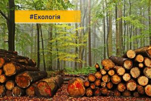 «Тільки кубометри та «прибуток»: природоохоронці обурені можливим скасуванням обмежень на рубки лісів