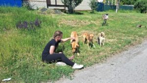У Святогірську безплатно лікували, вакцинували та стерилізували тварин