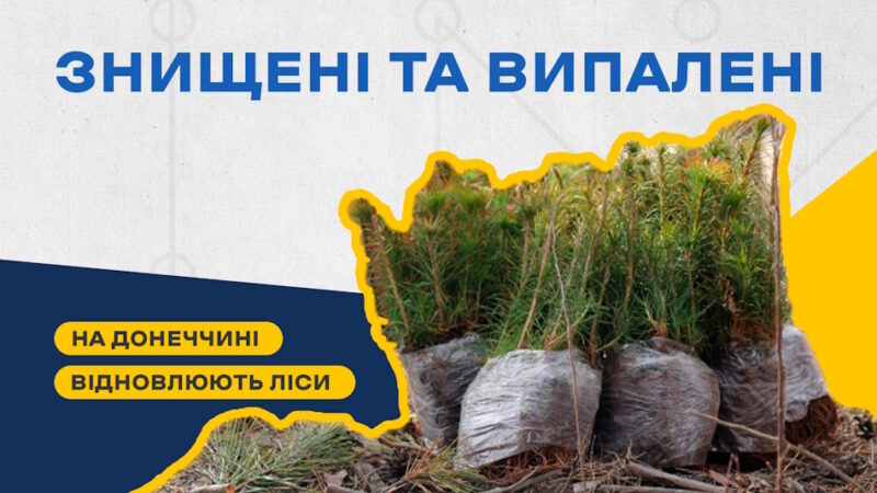 На Донеччині відновлюють знищені росіянами ліси