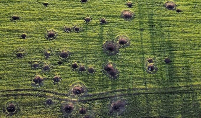 В Україні за 4 місяці розмінували 108 тисяч гектарів земель сільгосппризначення