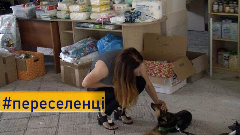 Як переселенцям з тваринами знайти тимчасове житло: пояснення Мінреінтеграції