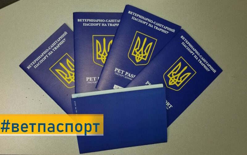 В Україні запровадять електронні ветпаспорти для домашніх тварин