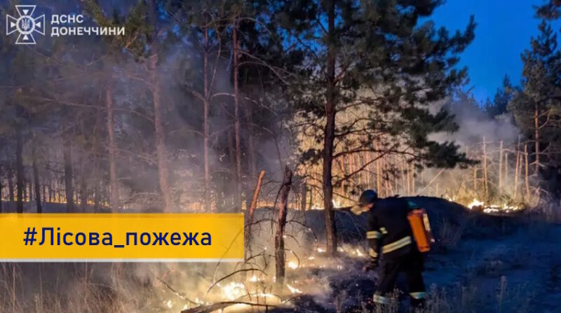 Рятувальники Донеччини другу добу гасять лісову пожежу в Лимані