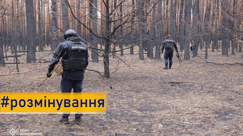 Піротехніки ДСНС продовжують розмінування Донеччини: результати за тиждень