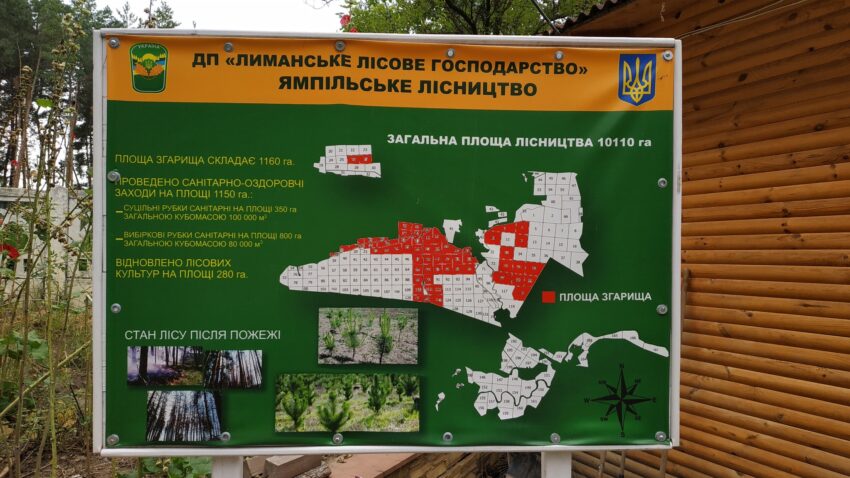 «Лиманське лісове господарство» припинило своє існування