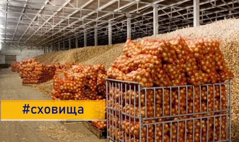 Україна розбудовує мережу овочесховищ: 35% врожаю втрачається через відсутність належних умов зберігання
